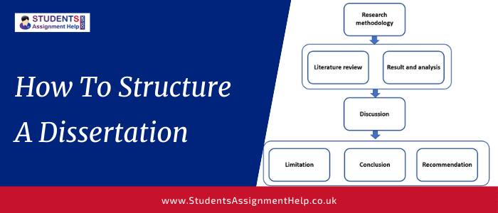 literature dissertation structure