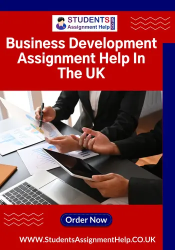 Business Development Assignment Help UK