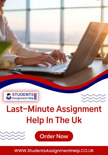 Last Minute Assignment Help in UK