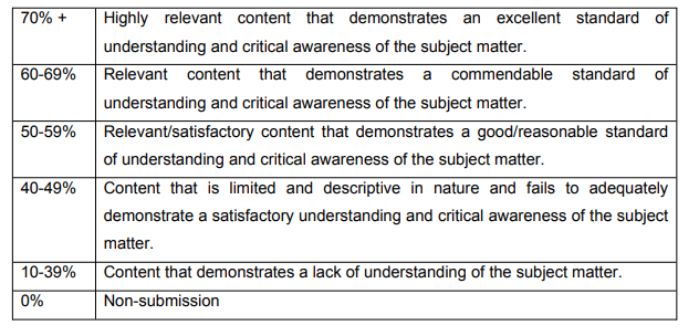 BM3028 Assessment Criteria 